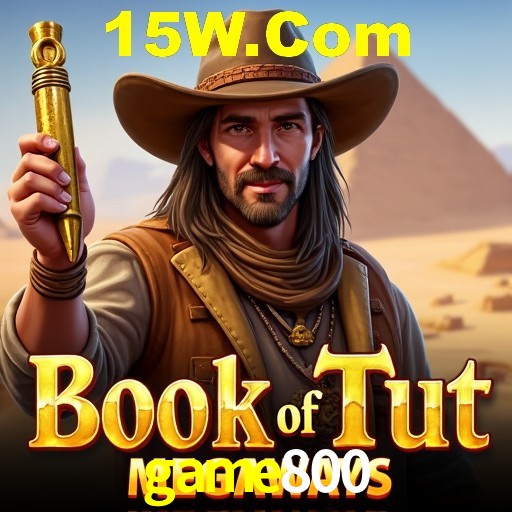 Login Seguro game800
