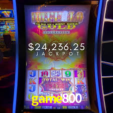 Casino Ao Vivo game800